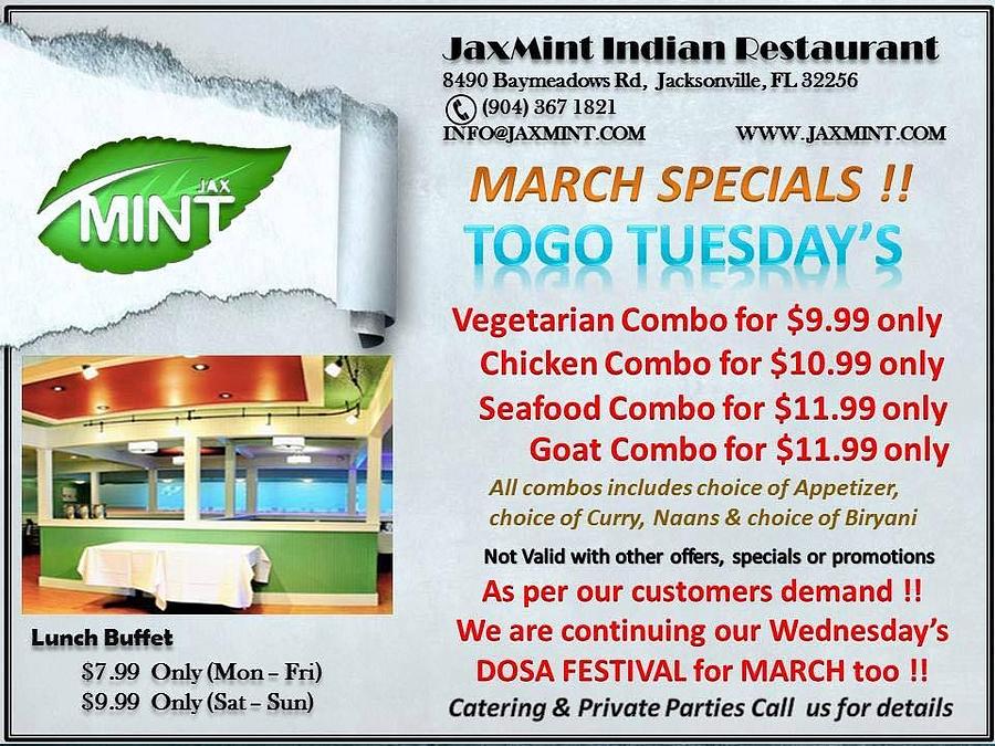 Jacksonville Indian Community Photograph by JaxDesi Fine Art America