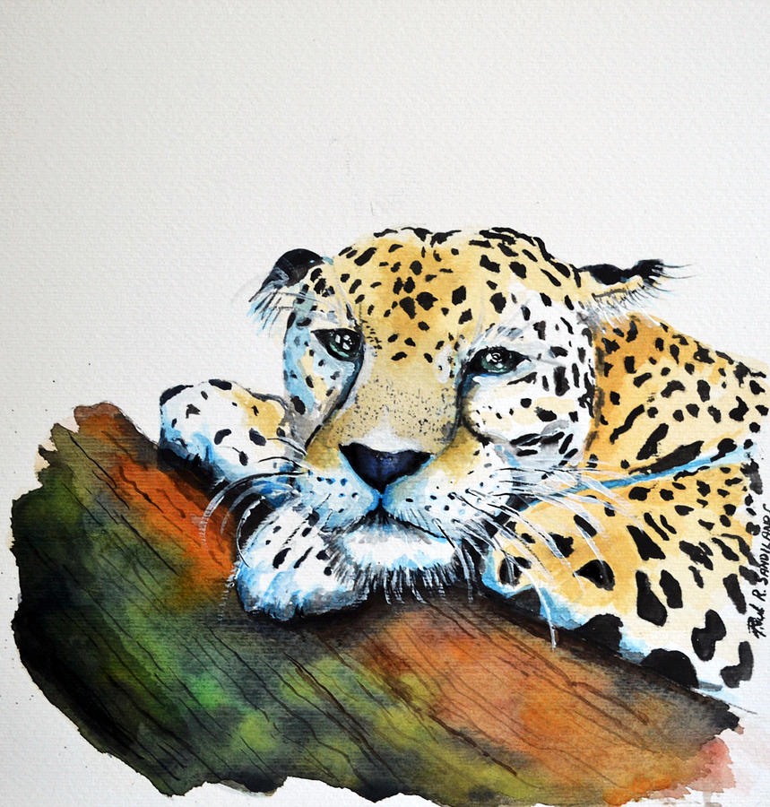 Jaguar Belize Painting