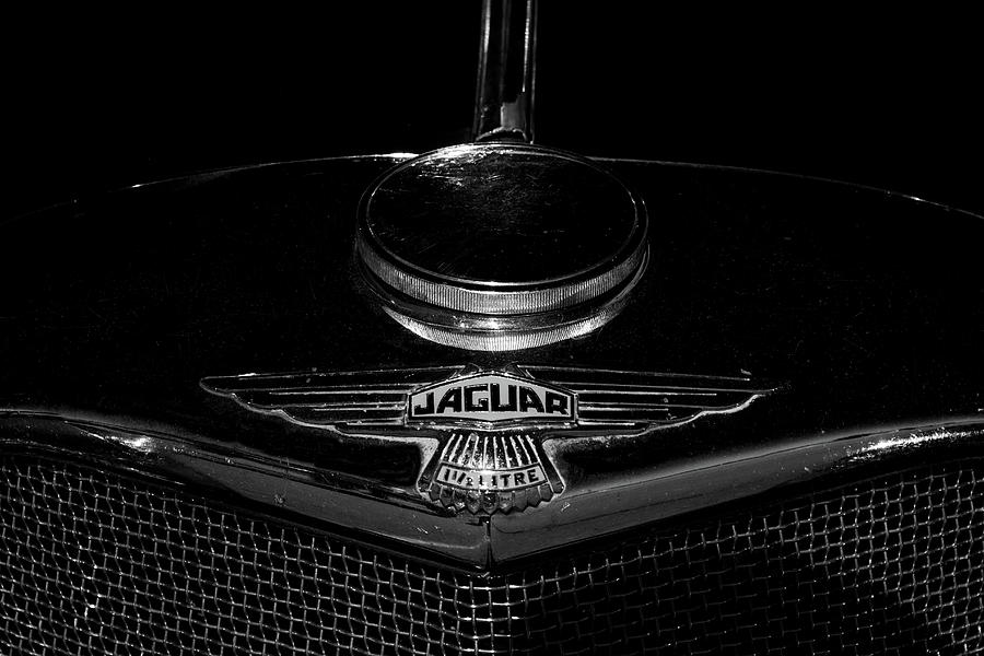 Jaguar Hood Emblem Photograph by Steven Parker