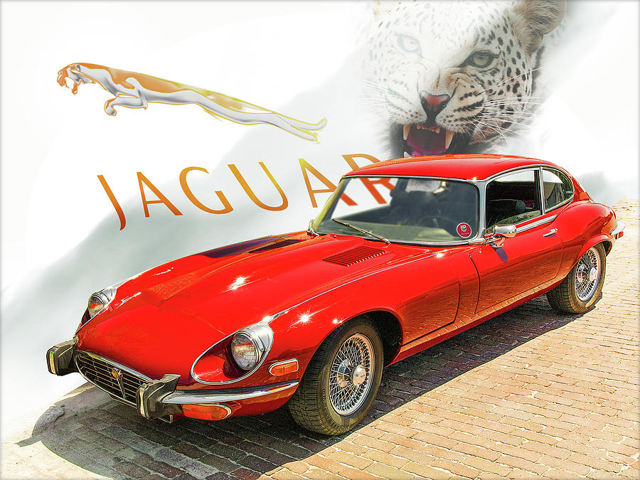 Car Photograph - Jaguar #2 by John Anderson