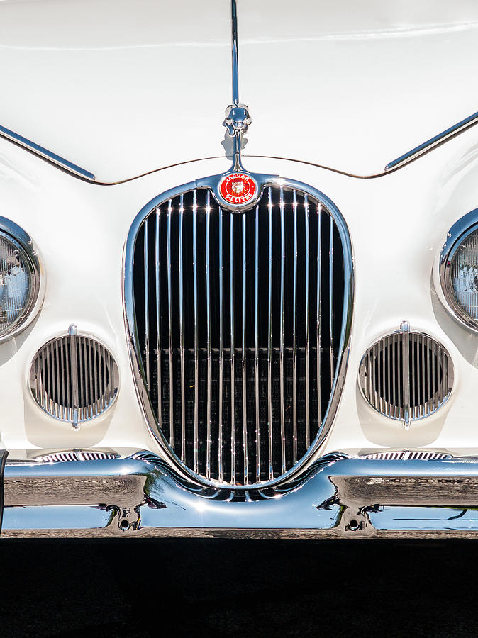 Jaguar #1 Photograph by Stewart Helberg