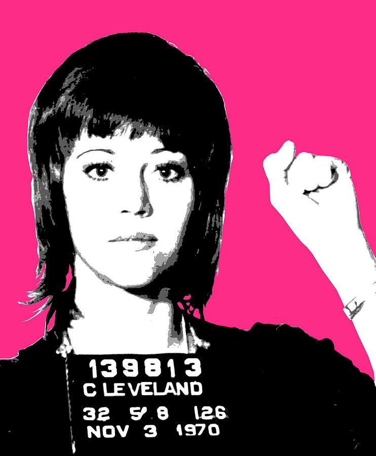 EDIT. Jane Fonda Mug Shot Poster Print Size 8" x 10" LMT