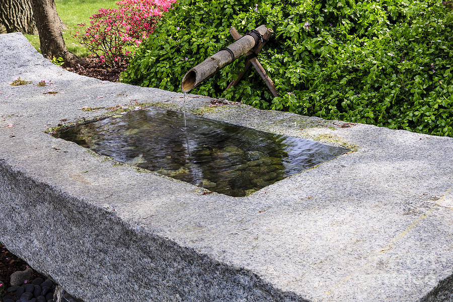 Japanese Garden Fountain #1 Photograph by Ben Graham