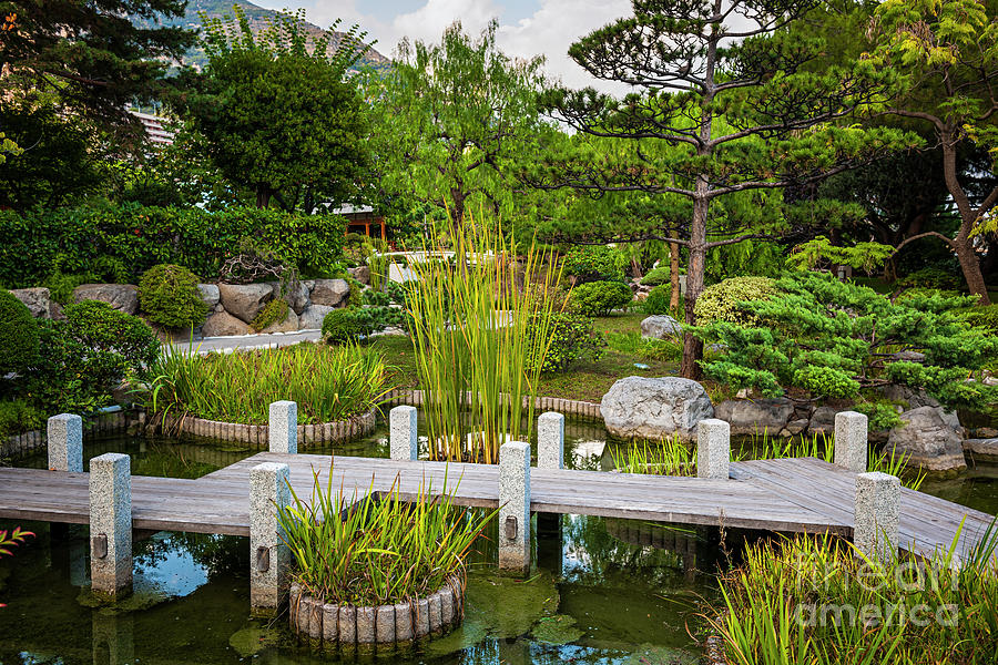Japanese garden in Monte Carlo 2 Photograph by Elena Elisseeva