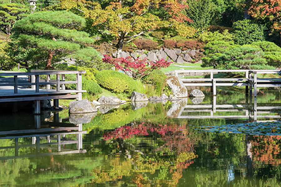 Japanese Garden, Seattle #1 Digital Art by Michael Lee