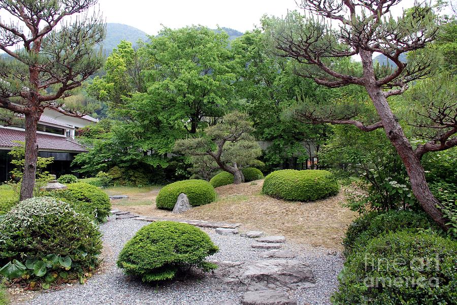 Japanese Garden #2 Photograph by Yumi Johnson