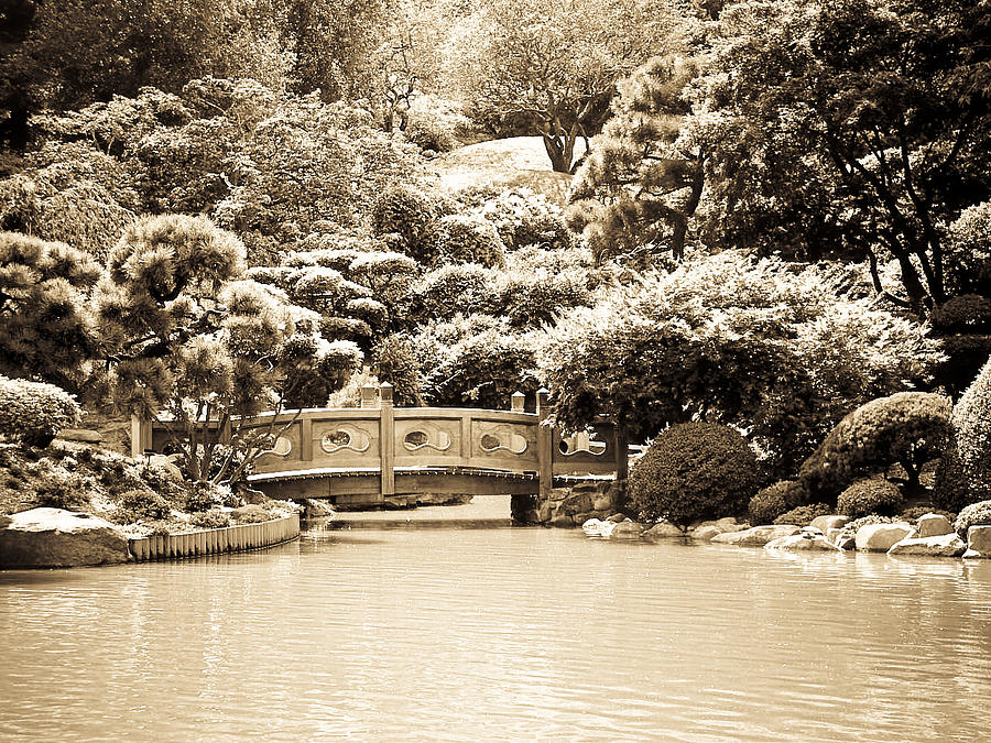 Japanese Hill and Pond Garden New York #1 Photograph by Mickey Clausen