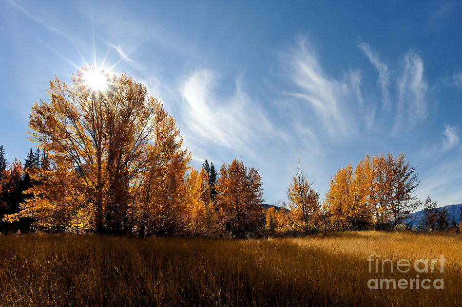 Jasper - Autumn Sky Chief 2 Photograph by Terry Elniski