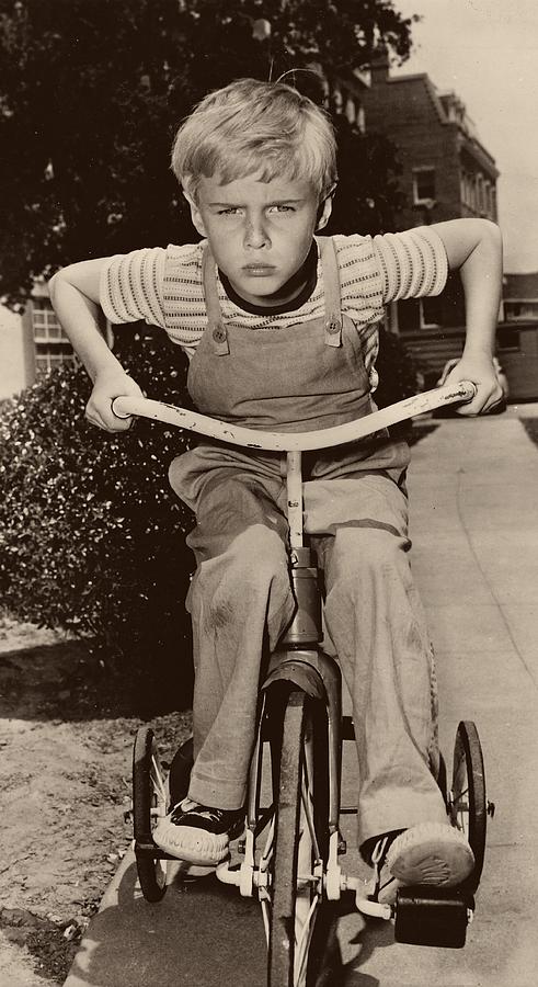 Vintage Photograph - Jay North as Dennis the Menace - 1959 #1 by Mountain Dreams