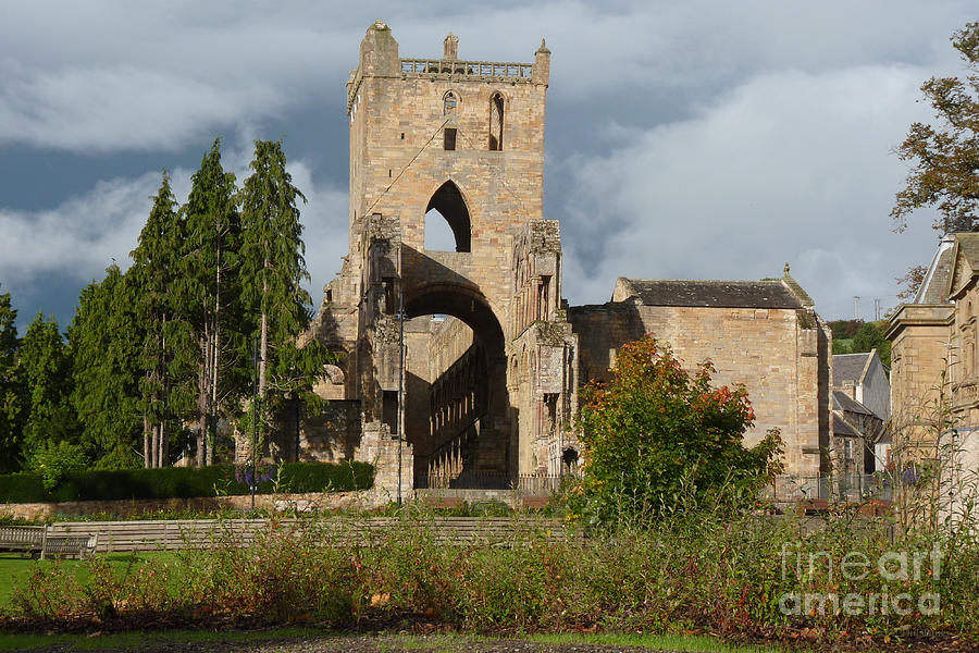 Jedburgh Abbey - Scottish Borders Photograph by Phil Banks