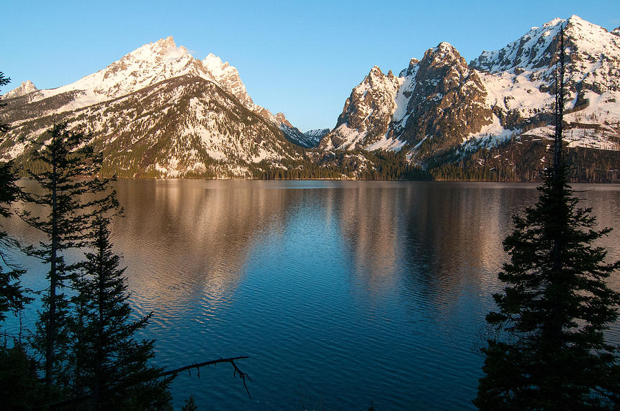 Jenny Lake #1 Photograph by Steve Stuller