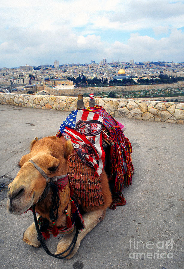 Jerusalem from Mount Olive #1 Photograph by Thomas R Fletcher