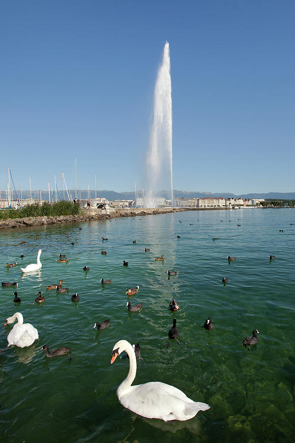 Jet Deau In Lake Geneva Photograph