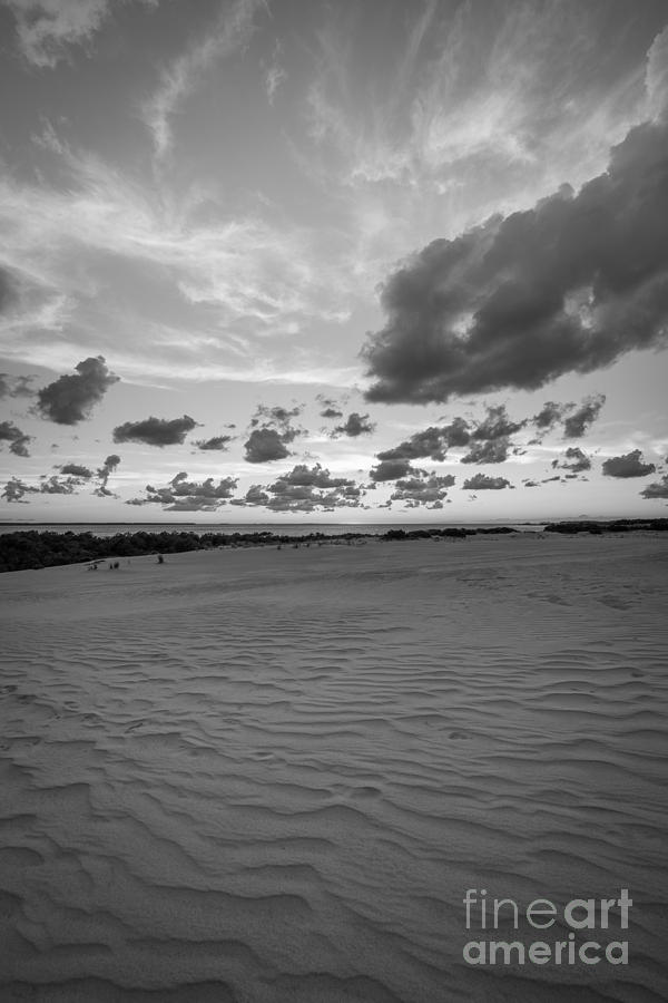 Jockeys Ridge Sand Dunes #1 Photograph by Michael Ver Sprill