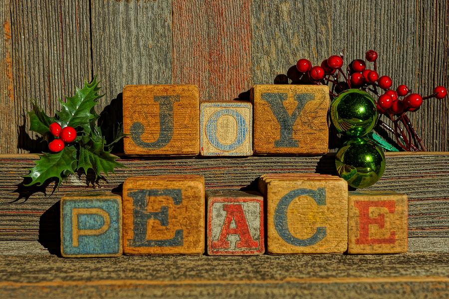 Joy and Peace  #1 Photograph by Steven Clipperton