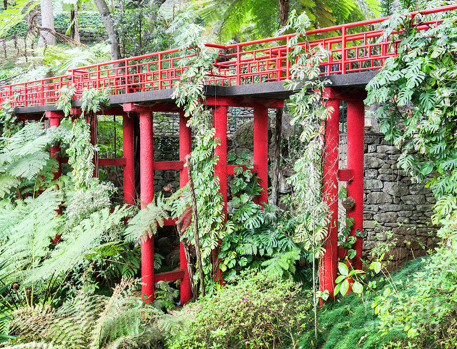 Architecture Photograph - Jpanese Garden On Madeira Island #1 by Compuinfoto  