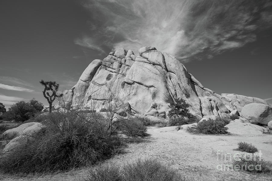 Jumbo Rocks At Joshua Tree #1 Photograph by Michael Ver Sprill