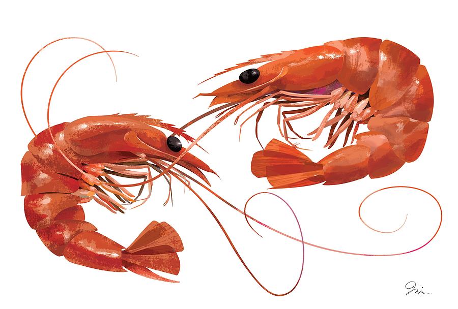 Fish Digital Art - Jumbo Shrimp #1 by Trevor Irvin