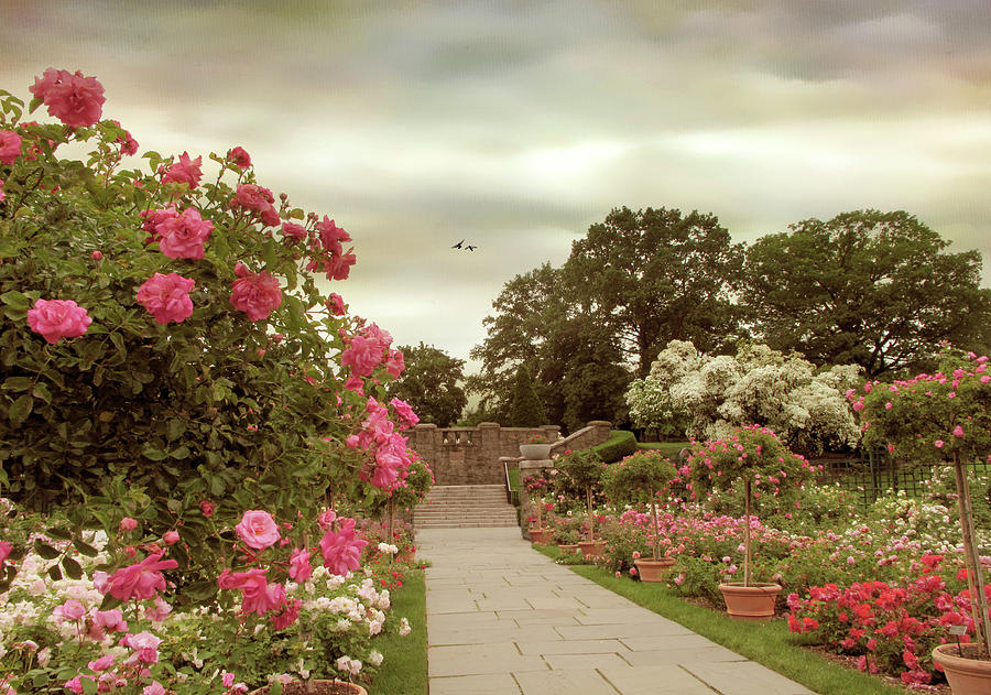 New York Botanical Garden Photograph - June In Bloom by Jessica Jenney New York Botanical Garden Photograph - June In Bloom by Jessica Jenney
