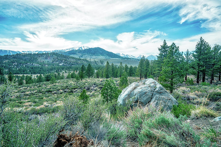 June Mountain Range #1 Photograph by Michelle Joseph-Long