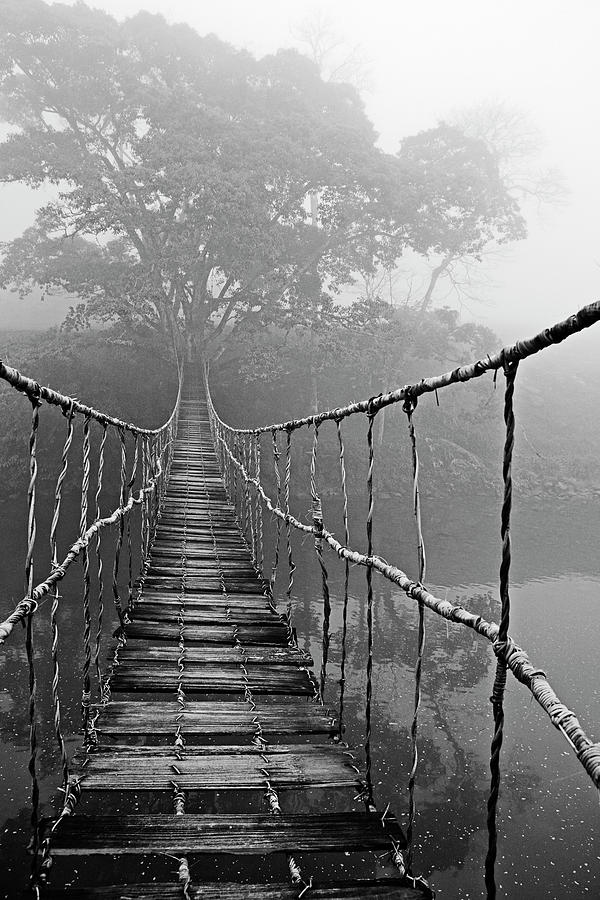 Inspirational Photograph - Jungle Journey Black and White by Skip Nall