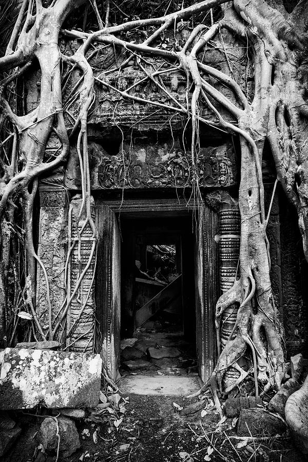 Jungle Temple Door #2 #1 Photograph by Stephen Stookey