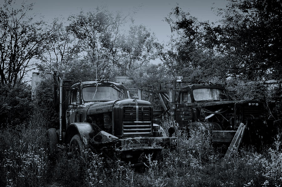 Vintage Photograph - Junkyard Dogs II #1 by Off The Beaten Path Photography - Andrew Alexander