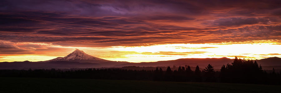 Jupiter Sky Photograph by Adrian Blair