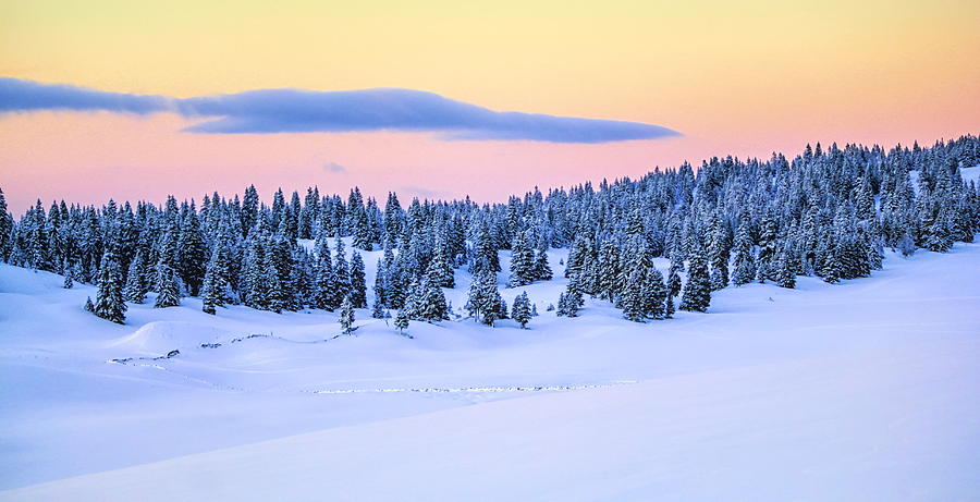 Jura mountain in winter, Switzerland #1 Photograph by Elenarts - Elena Duvernay photo
