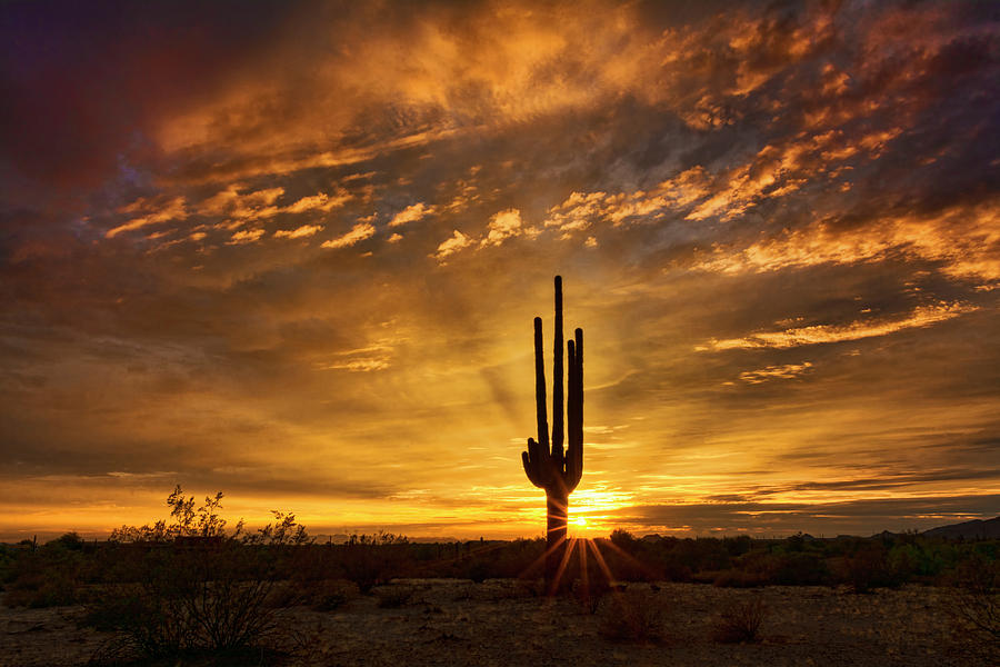 Just Another Sonoran Sunset  #1 Photograph by Saija Lehtonen