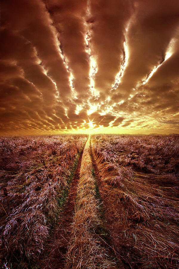 Just Over The Horizon #1 Photograph by Phil Koch