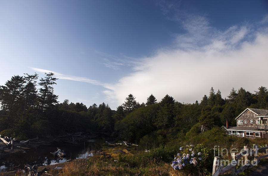 Kalaloch Lodge Olympic National Park Photograph By Jason O Watson ...