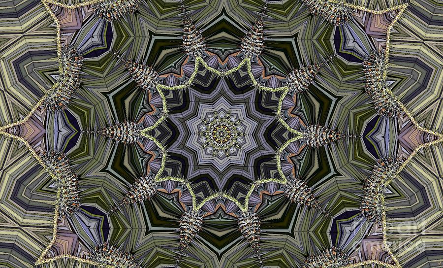 Kaleidoscope 96 Digital Art by Ron Bissett