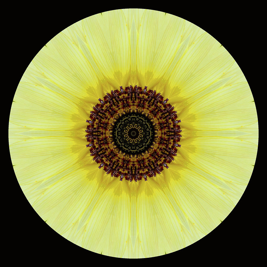 Kaleidoscope Image of An Italian Sunflower #1 Photograph by Brenda Jacobs