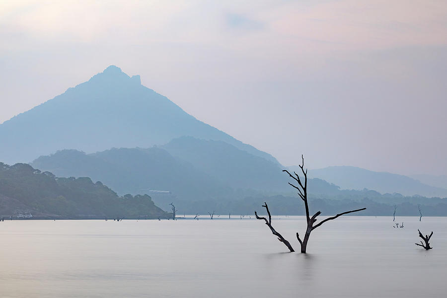 Kandalama Lake - Sri Lanka #1 Photograph by Joana Kruse