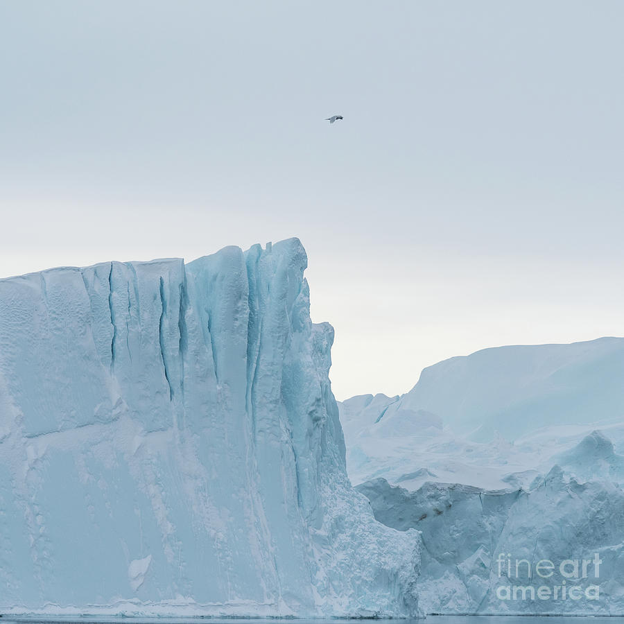 Kangia Iceberg Photograph by Janet Burdon
