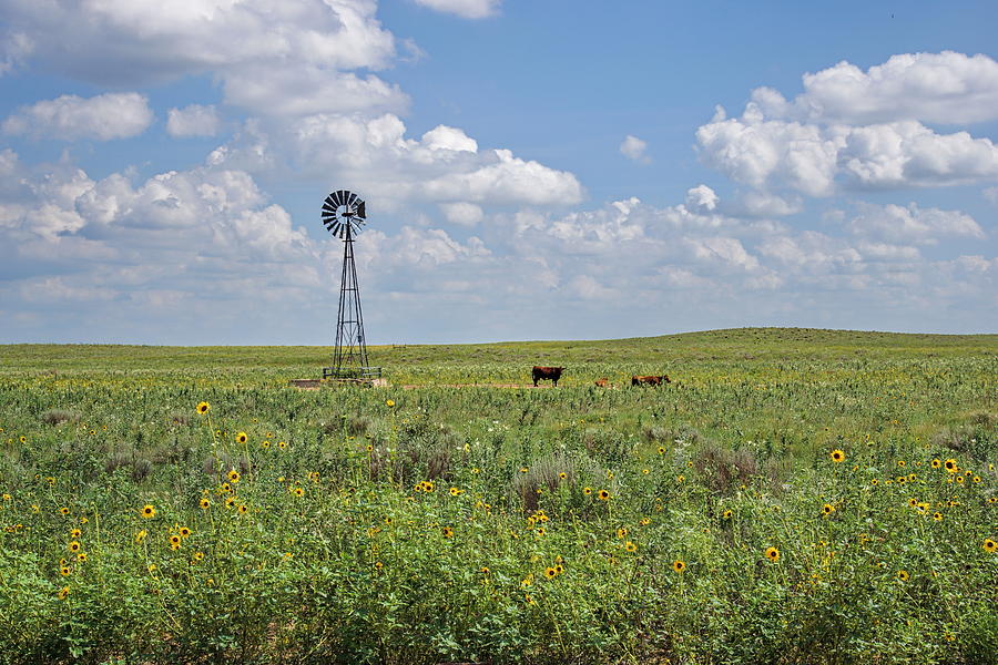 Kansas Prairie #2 Photograph by Alan Hutchins