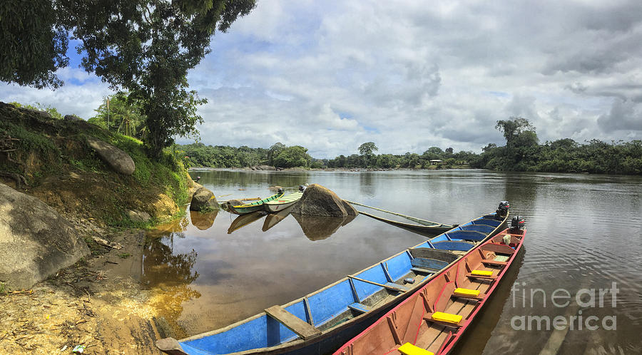 Karjoles in Suriname river Photograph by Patricia Hofmeester