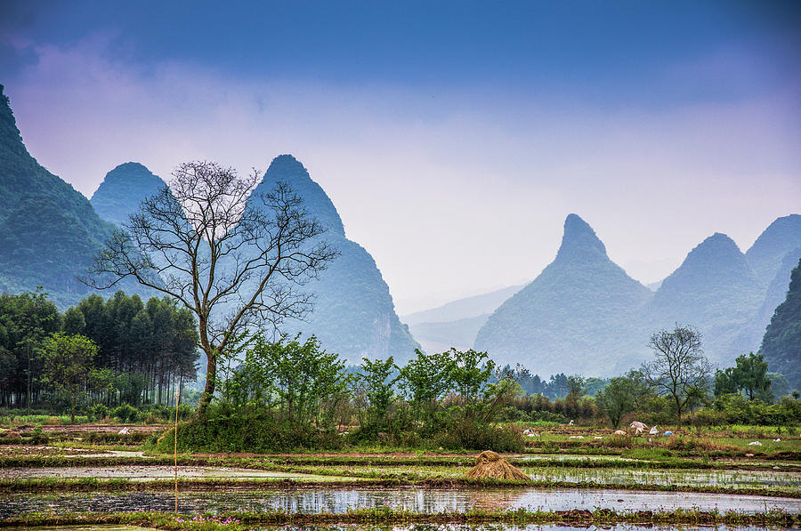 Karst mountains and rural scenery Photograph by Carl Ning - Fine Art ...