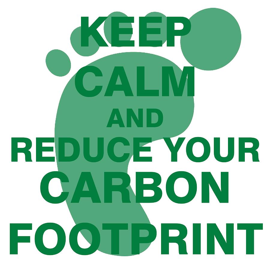 Keep Calm and Reduce Your Carbon Footprint Drawing by ES Design