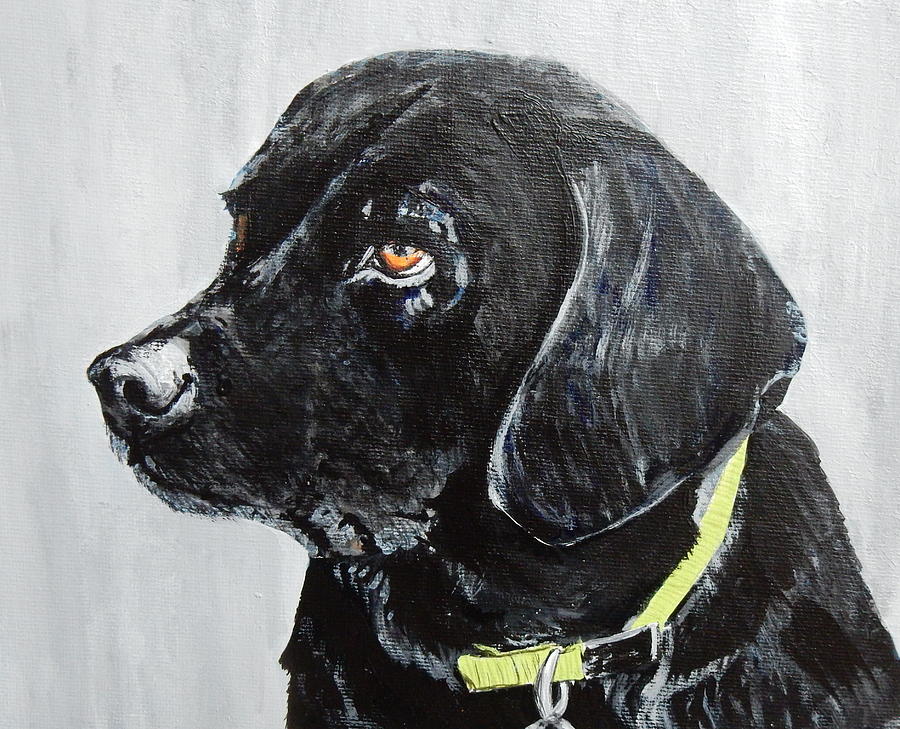Keira #1 Painting by Betty-Anne McDonald