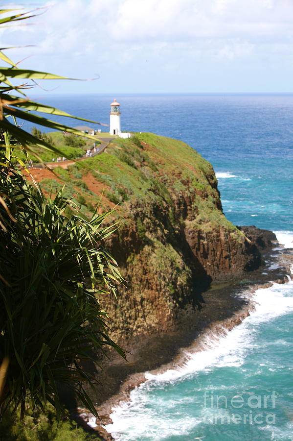 Kilauea Lighthouse #2 Photograph by Nadine Rippelmeyer