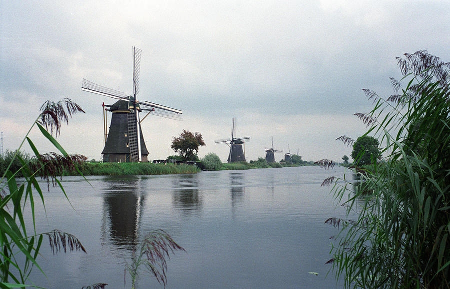 Kinderdijk #1 Photograph by Cornelis Verwaal
