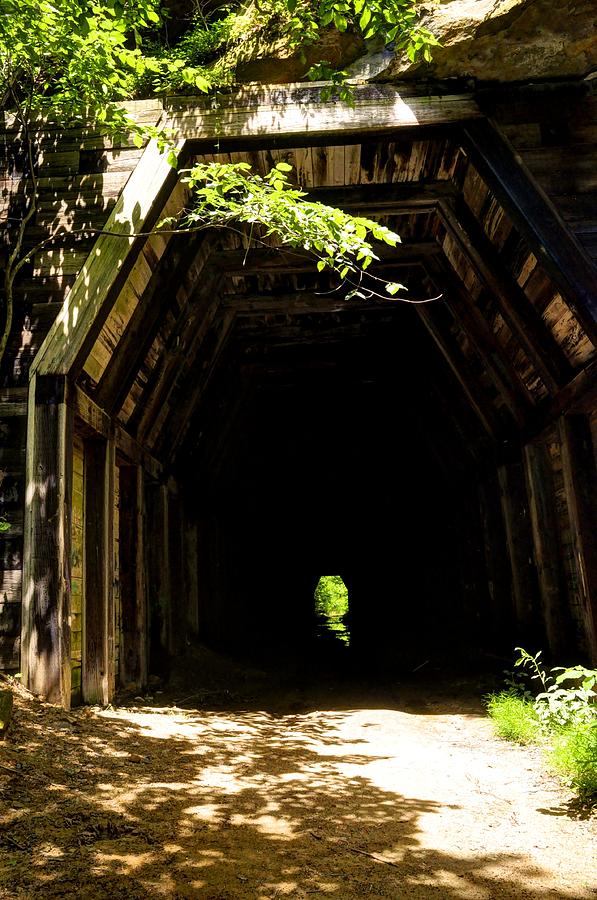 Nature Photograph - King Switch Tunnel #1 by David Kelso
