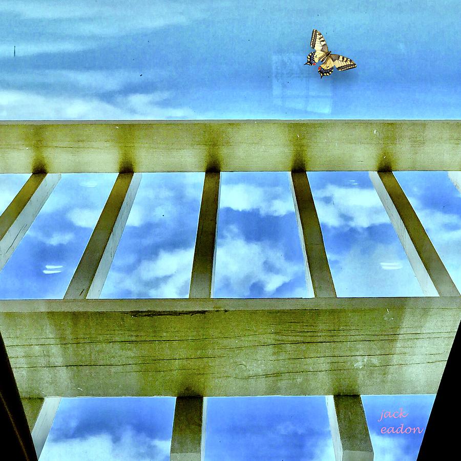 Sky Photograph - kingdom of Sky by Jack Eadon Sky Photograph - kingdom of Sky by Jack Eadon