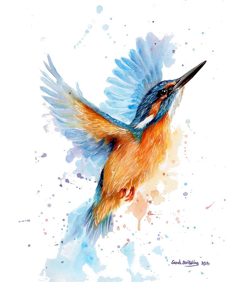 Kingfisher Painting - Kingfisher #3 by Sarah Stribbling