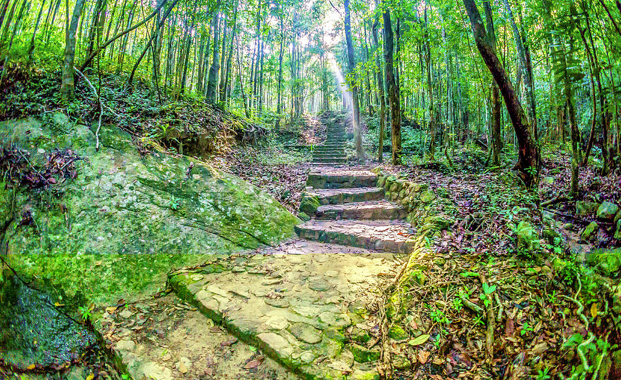 Koh Phangan - Wilderness Stairway #1 Photograph by Ryan Kelehar