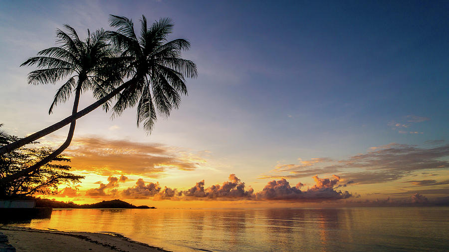 Koh Samui - Twin Palm Tree Sunrise #1 Photograph by Ryan Kelehar