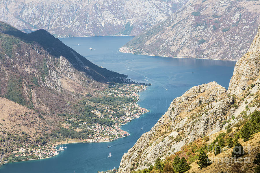 Kotor bay in Montenegro #1 Photograph by Didier Marti