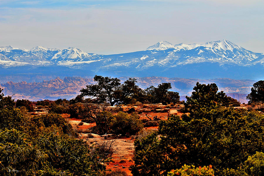 Desert Photograph - La Sal Mountains 008 by Gayle Berry